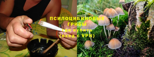 МДМА Горняк