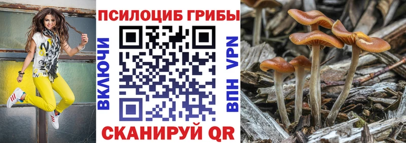 Купить где  Клин  Галлюциногенные грибы Magic Shrooms 